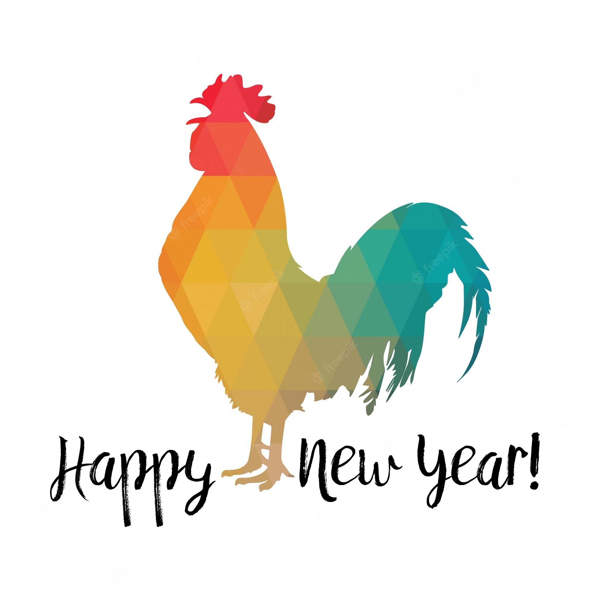 new-year-new-chickenfacts-chicken-facts