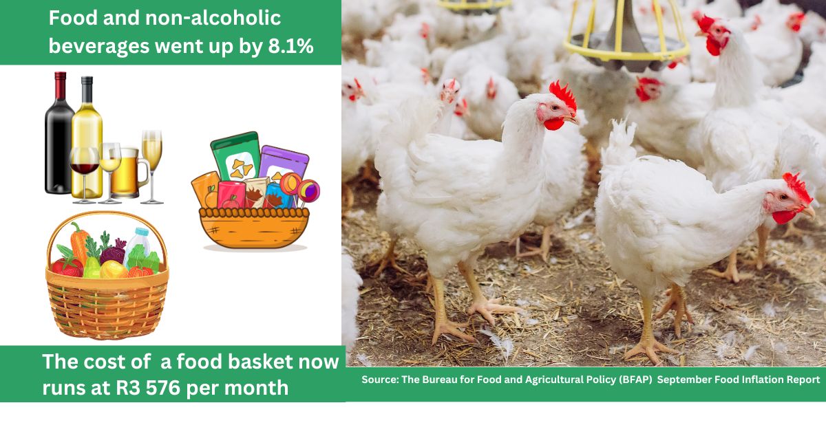 Poultry Analysis 23 October 2023