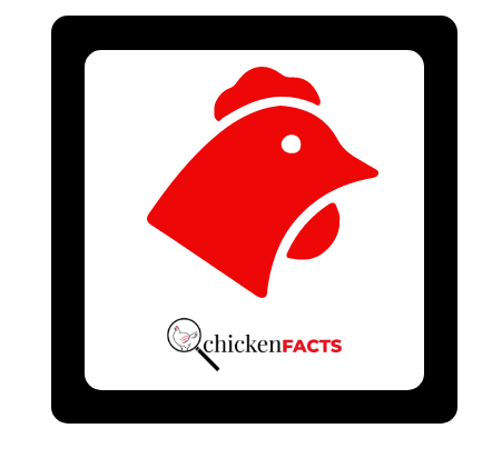 Poultry Analysis 13 February 2024