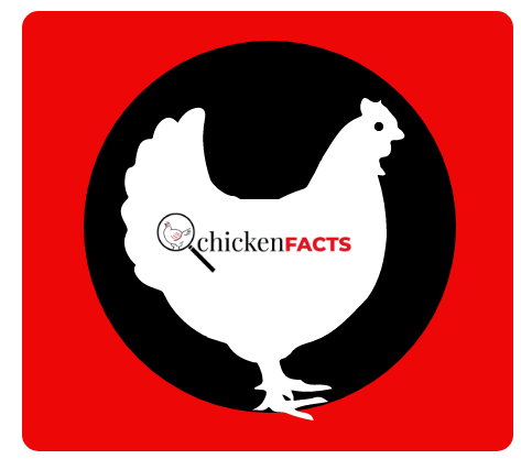 Poultry Analysis 27 February 2024