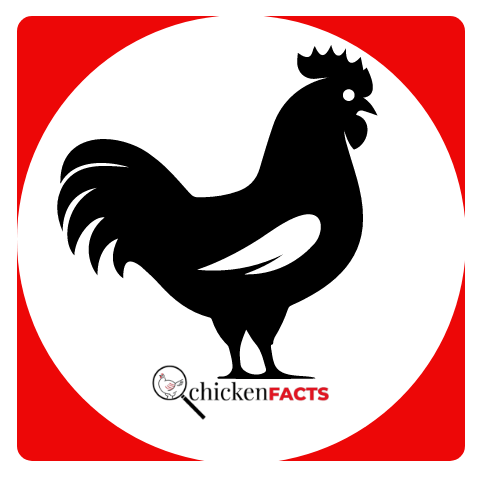 Poultry Analysis 5 March 2024