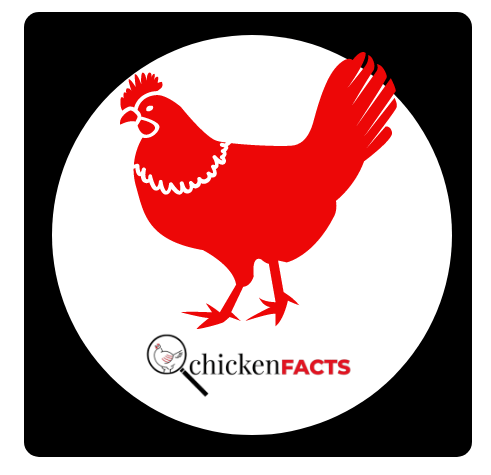 Poultry Analysis 12 March 2024
