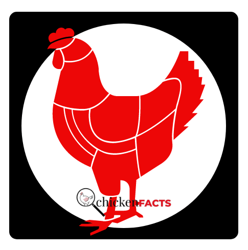 Poultry Analysis 26 March 2024