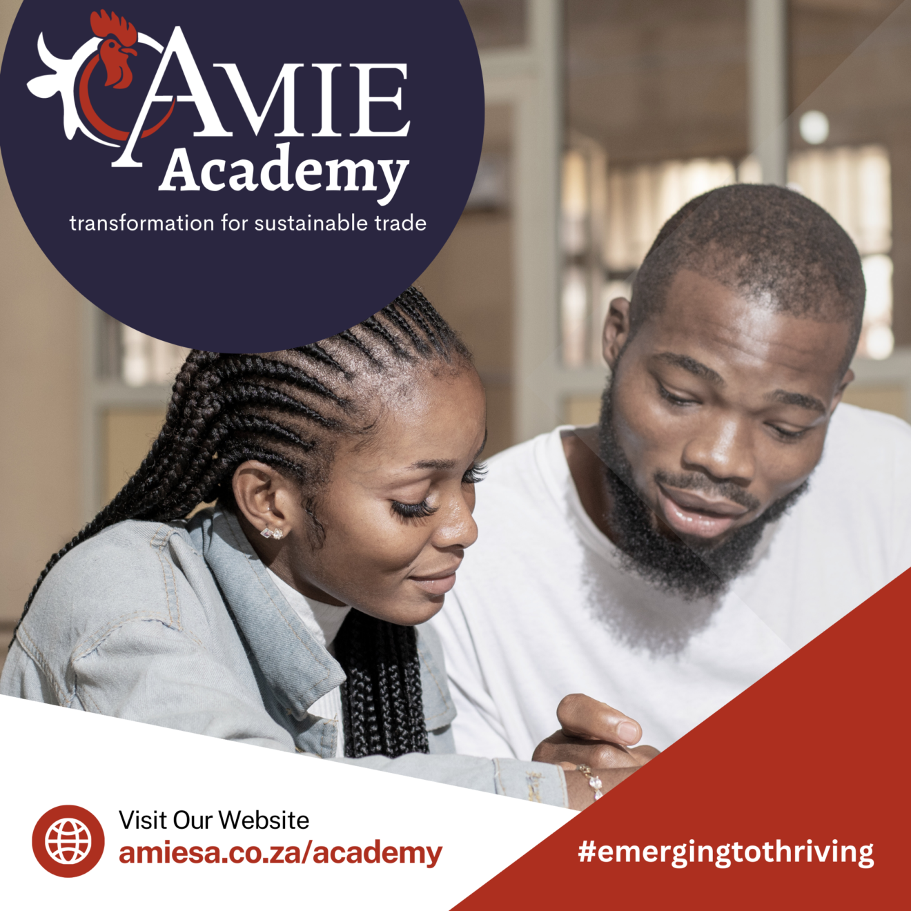 AMIE Academy: From Emerging to Thriving
