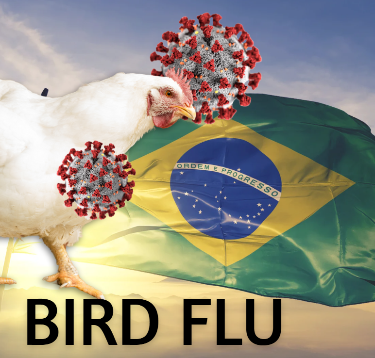 Warning: Food Security at Risk Amid Brazil Import Ban