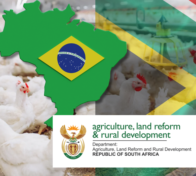Fingers (and Feathers) Crossed for SA Nearing Brazil Regionalisation Decision