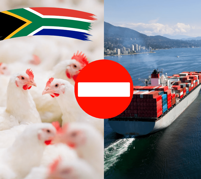 Local Poultry Misses the Mark on Export Barriers
